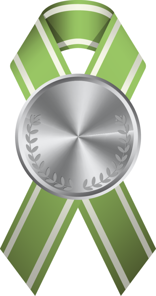 Silver Medal