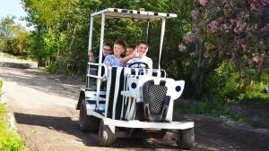 Mini Tractors ride at Diggerland UK Theme Park.