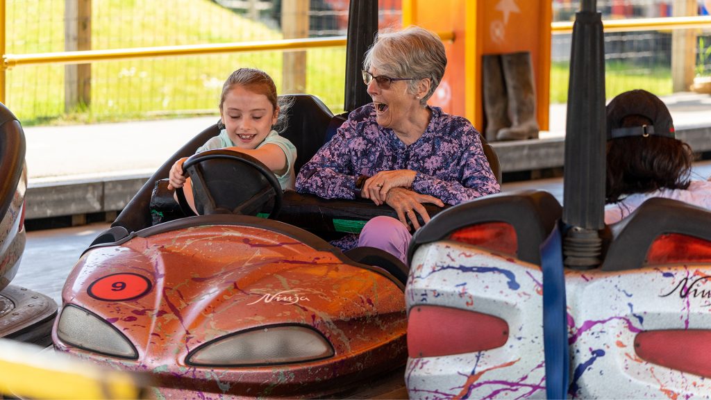 Accessibility at Diggerland