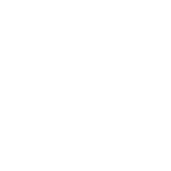Gift Icon