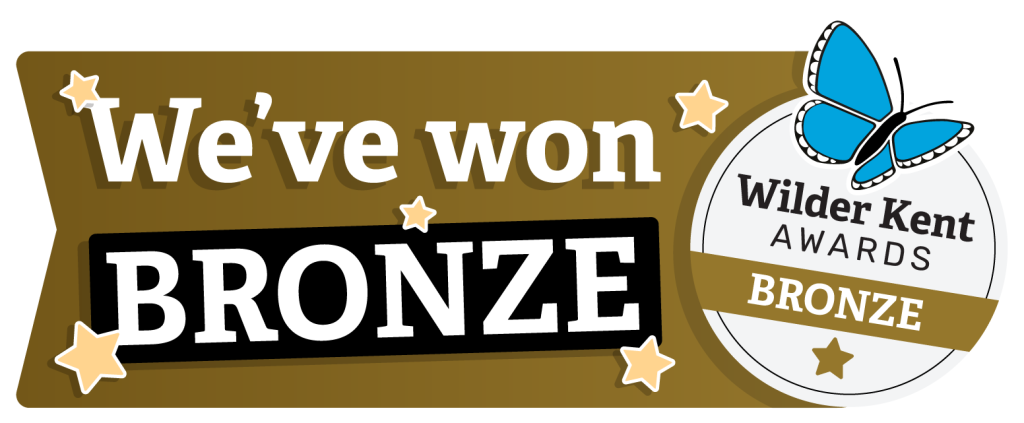 Bronze Wilder Kent Award at Diggerland