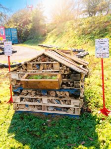 DIggerland Bug House at Diggerland Kent for Wilder Awards Winning